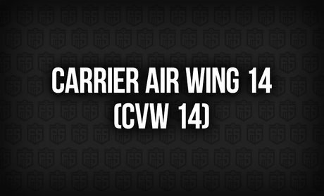 Carrier Air Wing 14: A Legacy of Excellence in Naval Aviation