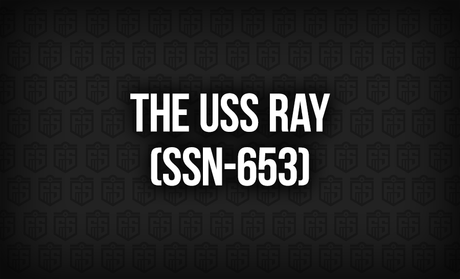 The USS Ray (SSN-653): A Silent Sentinel Beneath the Waves