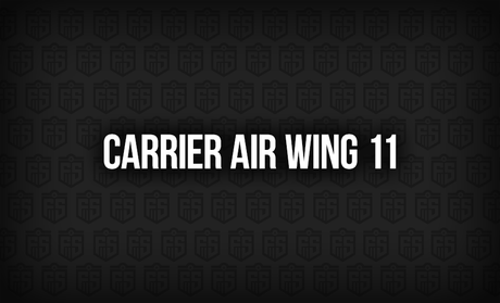 Carrier Air Wing 11: A Legacy of Strength and Service