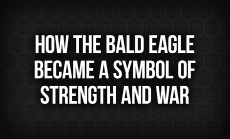 How the Bald Eagle Became a Symbol of Strength and War
