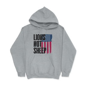 Mens Small SPORT GREY Style_Hoodie